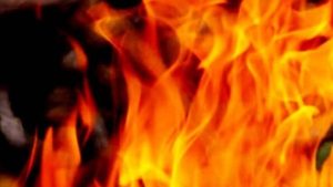 ছবিঃ প্রতিকি